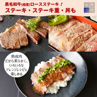 湯浅熟成肉 ステーキセット 黒毛和牛ステーキ&国産豚ロースステーキ 合計 900g
