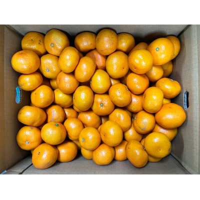 【先行受付】和歌山有田産ご家庭用みかん約10kg 2S～M サイズおまかせ