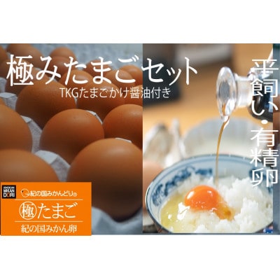 紀の国みかん極みたまご　TKGセット