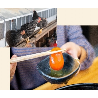 紀の国みかん極みたまご　TKGセット