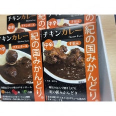 紀の国みかんどり手羽元と3種チキンボールのボリューム満点カレー