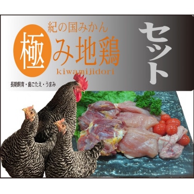 紀の国みかん極み地鶏セット