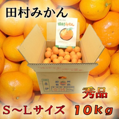 【2025年11月中旬より順次発送】田村みかん　秀品　10kg(S～Lサイズ)