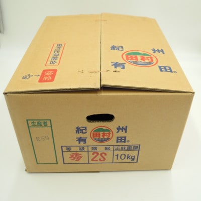 【2025年11月中旬より順次発送】田村みかん　秀品　10kg(S～Lサイズ)