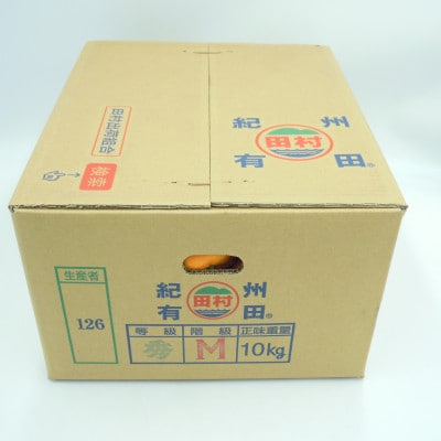 【2026年11月下旬より順次発送】田村みかん　秀品　10kg(S～Lサイズ)