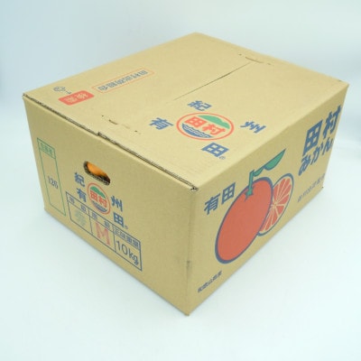 【2026年11月下旬より順次発送】田村みかん　秀品　10kg(S～Lサイズ)