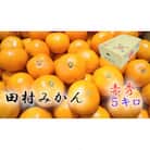 【2025年11月より発送】田村みかん　秀品　5kg(2Sサイズ)