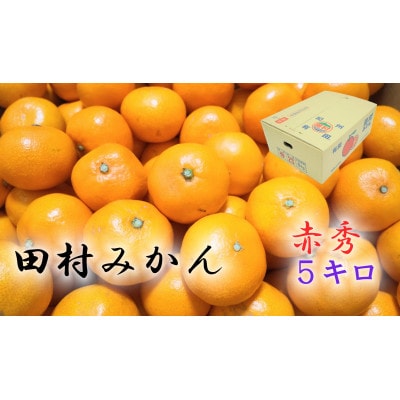 【2025年11月より発送】田村みかん　秀品　5kg(2Sサイズ)
