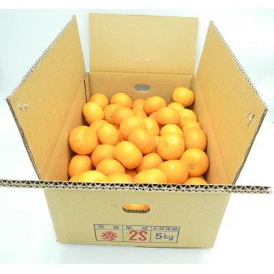 【2025年11月より発送】田村みかん　秀品　5kg(2Sサイズ)