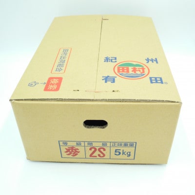 【2025年11月より発送】田村みかん　秀品　5kg(2Sサイズ)