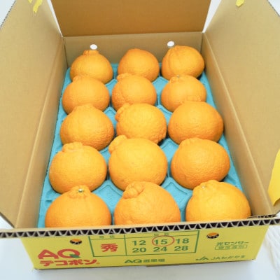 糖度13度以上　JA和歌山　AQのデコポン(和歌山県産)　秀品　約5キロ(12～24玉)