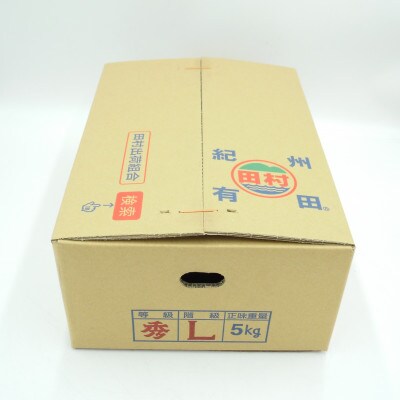 【2023年11月中旬より順次発送】田村みかん　秀品　5kg(Lサイズ)