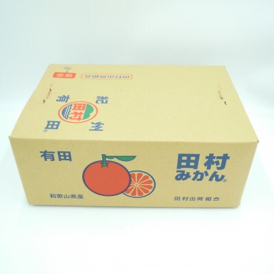 【2023年11月中旬より順次発送】田村みかん　秀品　5kg(Lサイズ)
