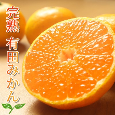 和歌山県産　有田みかん　小玉3kg 訳あり