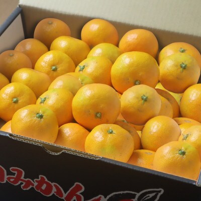 和歌山県産　有田みかん　小玉10kg 訳あり
