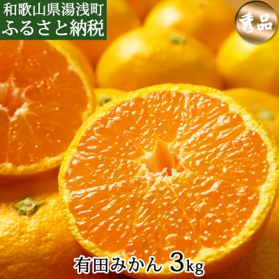 有田みかん　3kg　秀品
