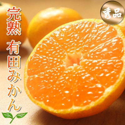 有田みかん　3kg　秀品