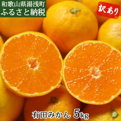 有田みかん　5kg　訳あり　家庭用　サイズおまかせ