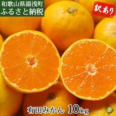 有田みかん　10kg　訳あり　家庭用