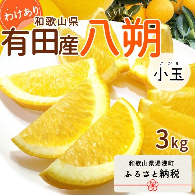【2024年2月下旬より発送】和歌山県有田産　八朔　小玉　3kg　訳あり　家庭用