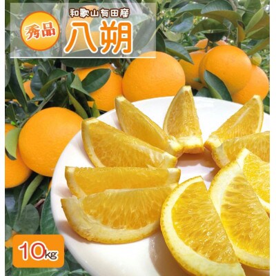 2025年2月下旬より発送　和歌山県有田産　八朔　10kg　秀品