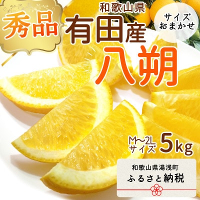 【2025年2月下旬より発送】和歌山県有田産　八朔　5kg　秀品