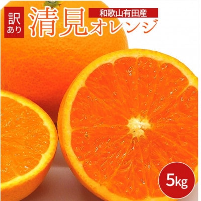 2024年3月下旬より発送　和歌山県有田産　清見オレンジ　5kg 訳あり