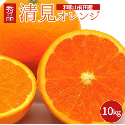 2025年3月下旬より発送　和歌山県有田産　清見オレンジ　10kg 秀品