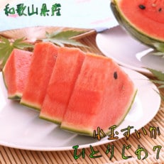 【大人気】【和歌山県産】【農家直送】厳選小玉すいか『ひとりじめ7』　Mサイズ/2玉入り