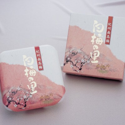特選　紀州南高梅　梅干「白梅の里」ほのか  500g