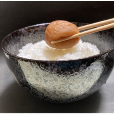特選 紀州南高梅 梅干「白梅の里」はちみつ 500g