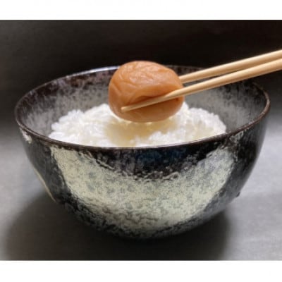 特選　紀州南高梅　梅干「白梅の里」はちみつ　1kg