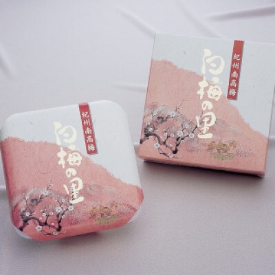 特選 紀州南高梅 梅干「白梅の里」うす塩味　500g