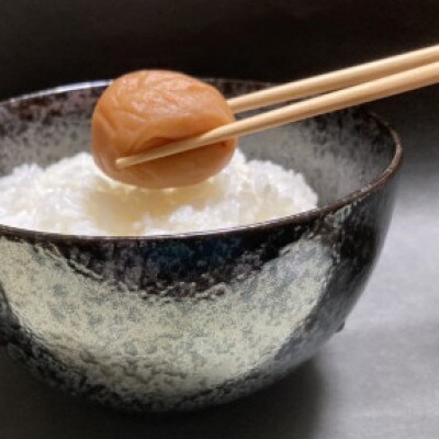 紀州南高梅　梅干　ほのか　家庭用B級　650g