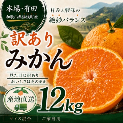 【先行予約】訳あり 有田みかん12kg(11.5kg+補償分500g)サイズ混合|11月より順次発送