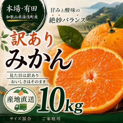 【先行予約】訳あり 有田みかん10kg(9.5kg+補償分500g)サイズ混合|11月より順次発送