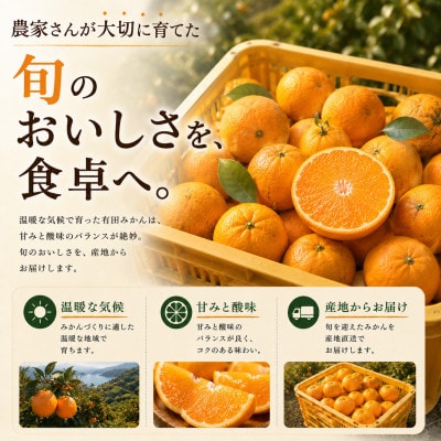 【先行予約】訳あり 有田みかん10kg(9.5kg+補償分500g)サイズ混合|11月より順次発送