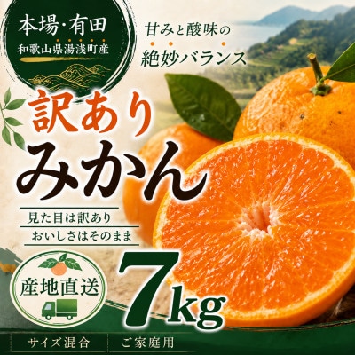 【先行予約】訳あり 有田みかん7kg(6.5kg+補償分500g)サイズ混合|11月より順次発送