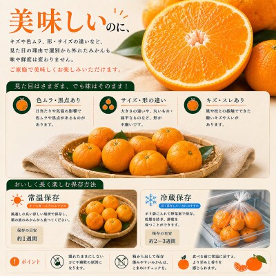 【先行予約】訳あり 有田みかん7kg(6.5kg+補償分500g)サイズ混合|11月より順次発送