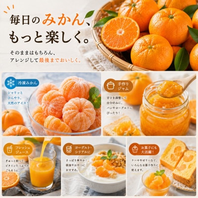 【先行予約】訳あり 有田みかん7kg(6.5kg+補償分500g)サイズ混合|11月より順次発送