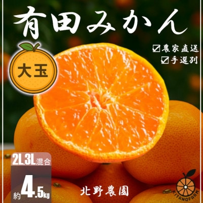 訳あり 家庭用 有田みかん 和歌山 大玉(2L,3Lサイズ混合) 4.5kg