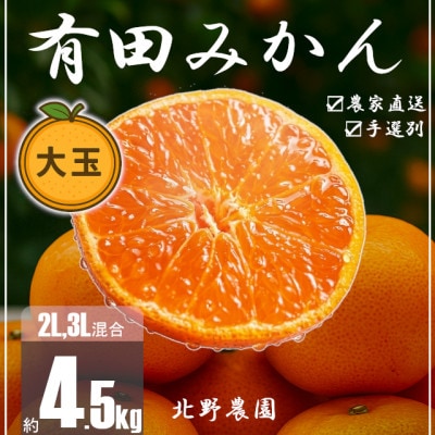 家庭用 有田みかん 和歌山 訳あり わけあり 大玉(2L,3Lサイズ混合) 4.5kg