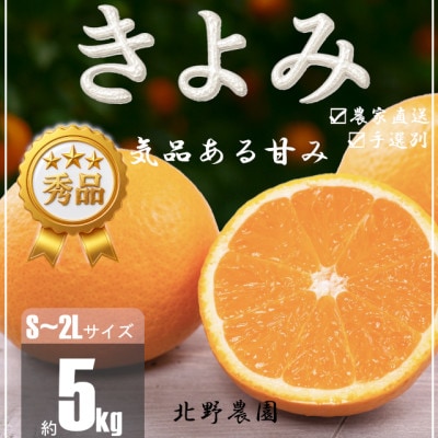【先行受付】秀品 きよみ 清見オレンジ 和歌山 有田 S～2Lサイズ 大きさお任せ 5kg