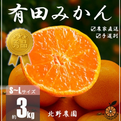 秀品 有田みかん 和歌山県産　S～Lサイズ 大きさお任せ 3kg