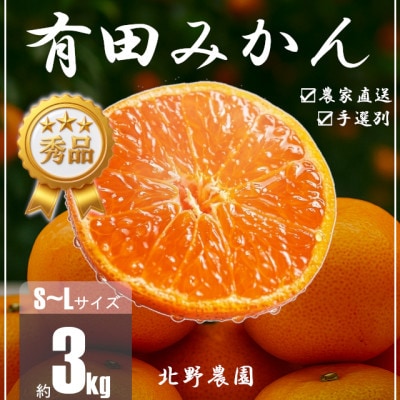 秀品 有田みかん 和歌山県産　S～Lサイズ 大きさお任せ 3kg