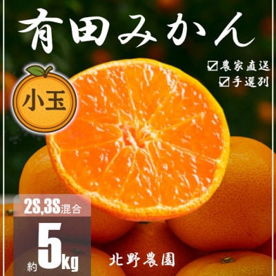訳あり 家庭用 有田みかん 和歌山 小玉(2S,3Sサイズ混合) 5kg