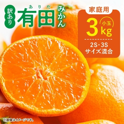【先行受付】訳あり 家庭用  有田みかん 和歌山  小玉(2S,3Sサイズ混合) 3kg