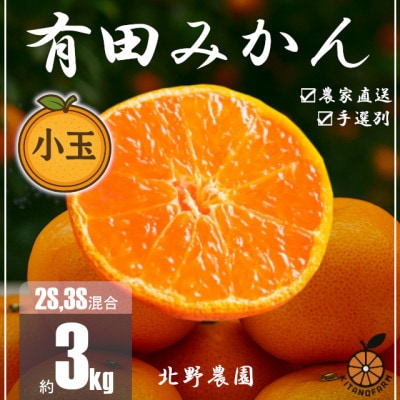 訳あり 家庭用  有田みかん 和歌山  小玉(2S,3Sサイズ混合) 3kg