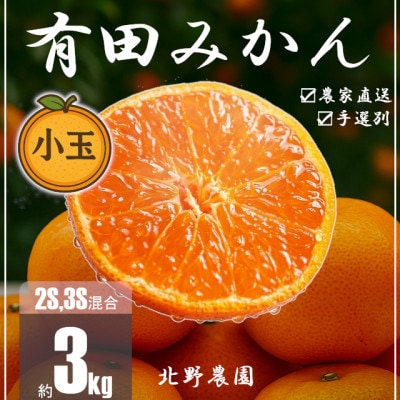 家庭用 有田みかん 和歌山 訳あり 小玉(2S,3Sサイズ混合) 3kg