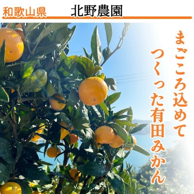【先行受付】訳あり 家庭用  有田みかん 和歌山  小玉(2S,3Sサイズ混合) 3kg